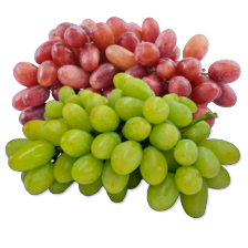 Losse druiven met pit